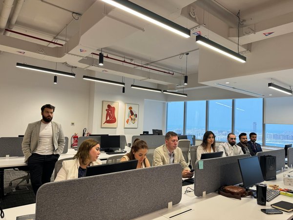 Quali sono i giochi più stimolanti per un gatto di razza Abissino che trascorre molte ore da solo?