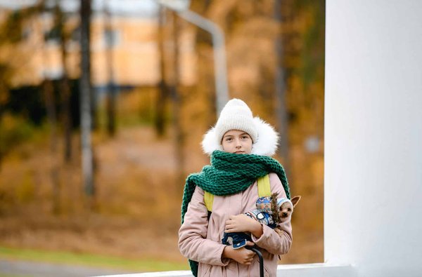 Quali sono le raccomandazioni per gestire un cane di razza Yorkie con ipoglicemia?