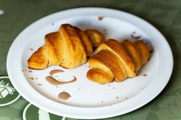 Quali sono le strategie per introdurre una dieta bilanciata a un gatto di razza Ragdoll che tende all'obesità?