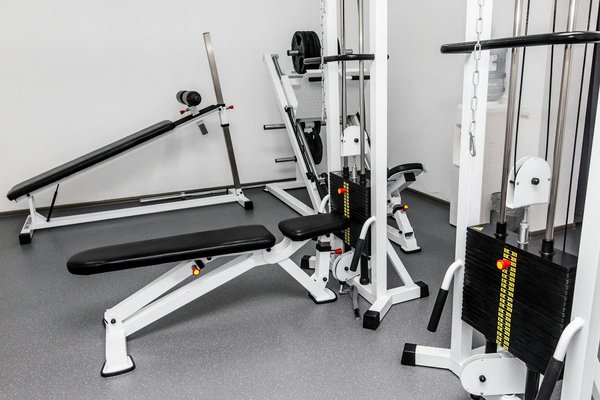 Come avviare un centro di riabilitazione per animali selvatici feriti sul territorio nazionale?